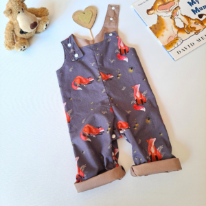 Overalls fox and the fireflies